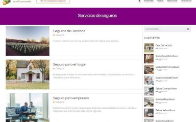 Construcción de la web SegurLimp