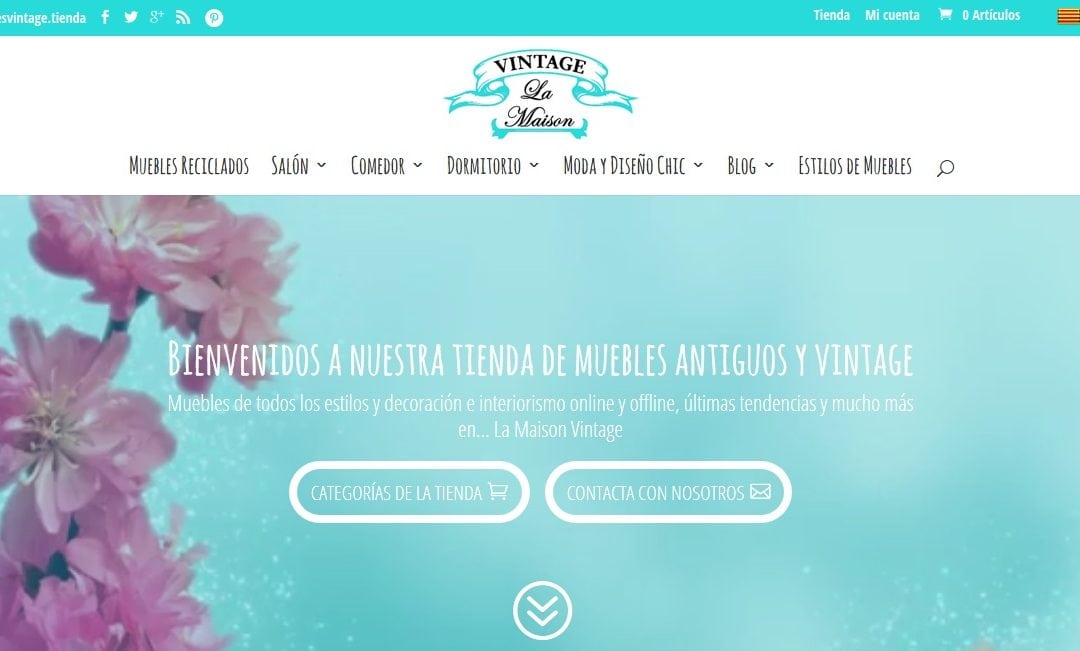 Nuevo diseño de la tienda de muebles La Maison Vintage