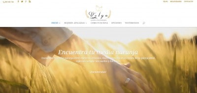 Diseño Nuevo de Agencia Matrimonial Volga