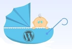 Crear un tema hijo para modificar themes de WordPress