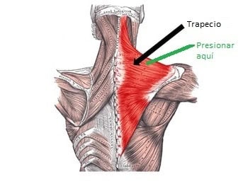 Com treure el singlot 100% sense rituals