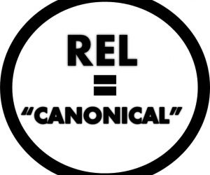 L’etiqueta “noindex” i l’atribut “canonical”